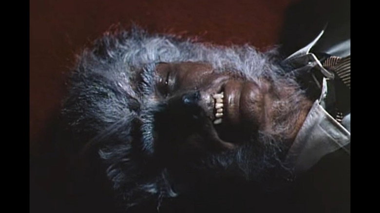 кадр из фильма The Werewolf of Washington