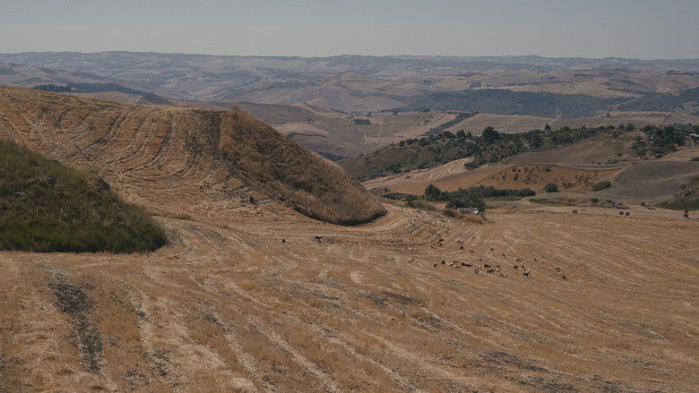 кадр из фильма Back, Forth, Wherever