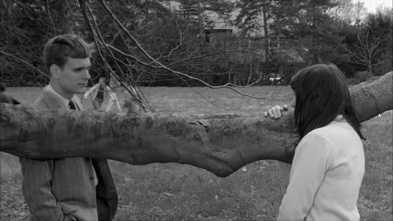 кадр из фильма Дэвид и Лиза