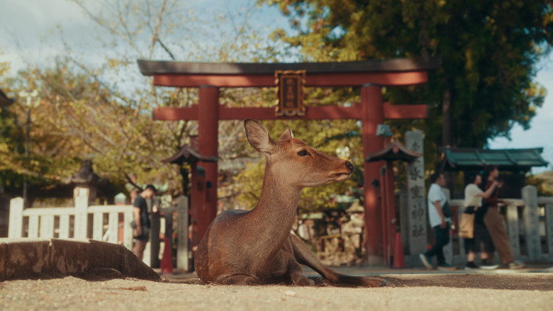 кадр из фильма Streets of Japan