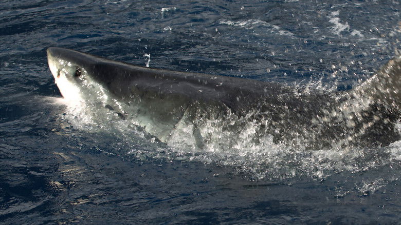 кадр из фильма Захватчики побережья