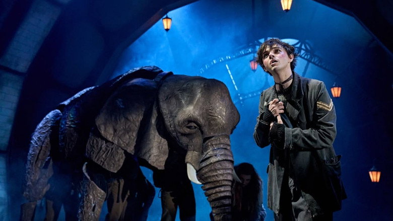 The Magician's Elephant