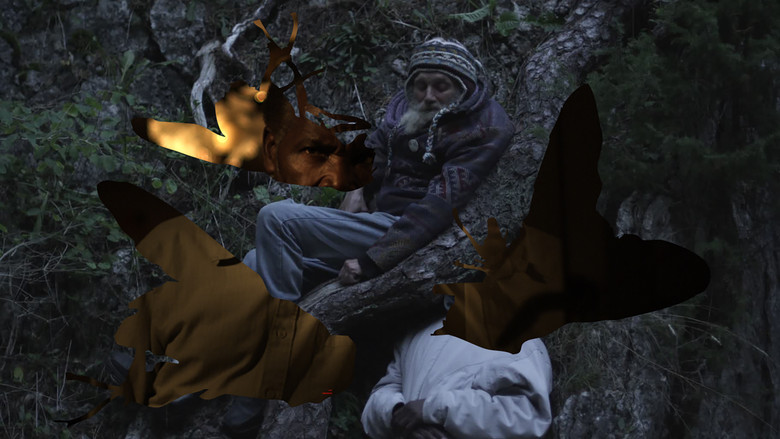 кадр из фильма Overnight Flies