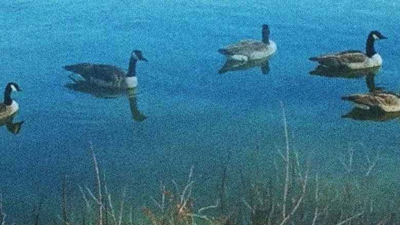 кадр из фильма Downy Ashes