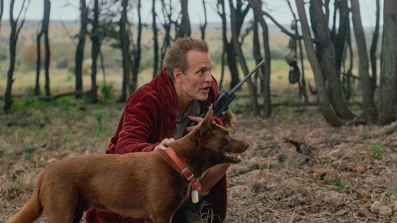 кадр из фильма Хищник. Дожить до рассвета