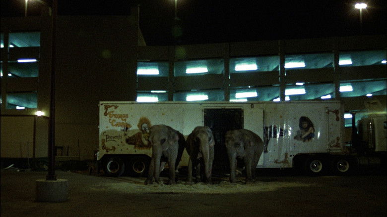 кадр из фильма Queen of Diamonds