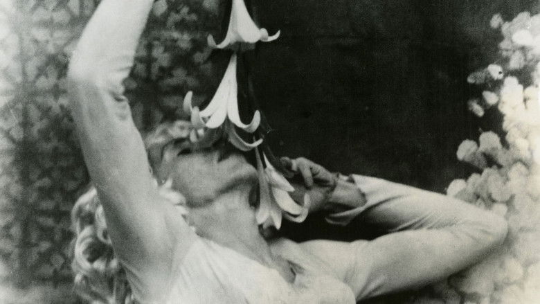 кадр из фильма Пламенеющие создания