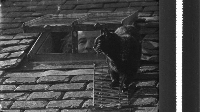 кадр из фильма This Is My Land