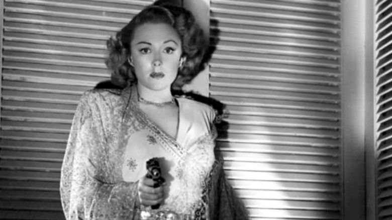 Повторное представление