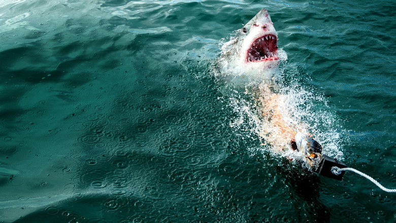 кадр из фильма Акула - хищник в камуфляже