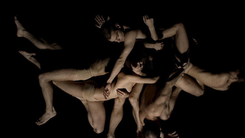 кадр из фильма Symmetry