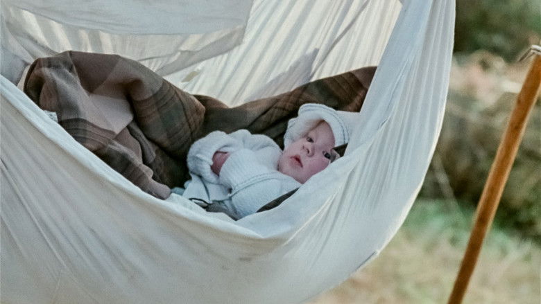 кадр из фильма Chyłe pola