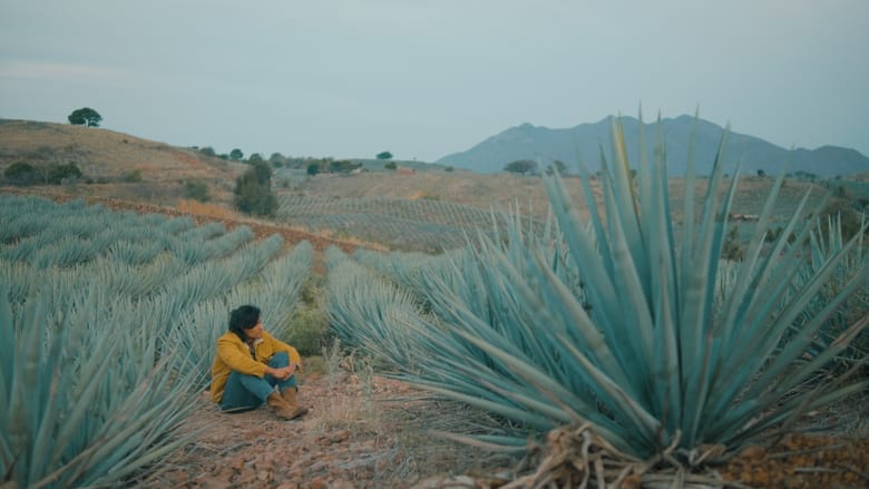 кадр из фильма Agaves al alba