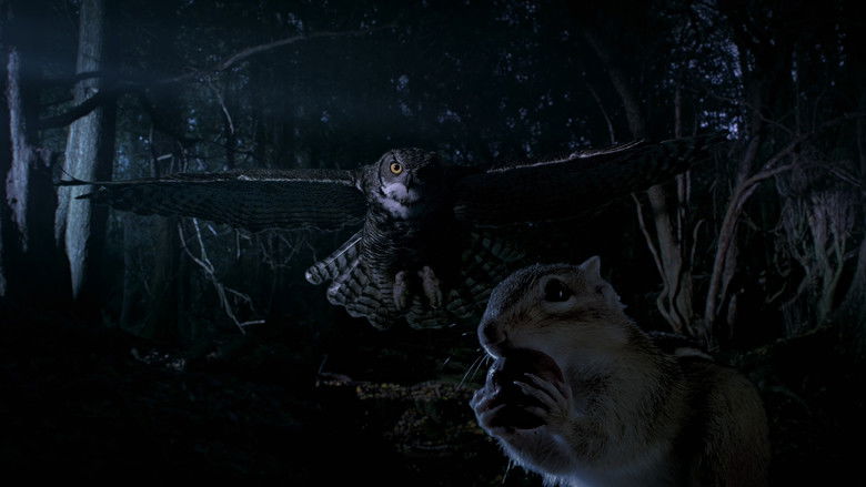 кадр из фильма BBC Маленькие Гиганты