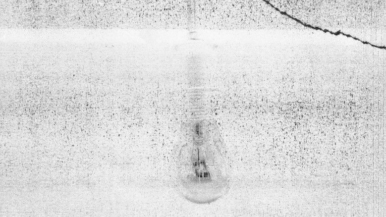 кадр из фильма The Extinct Suite