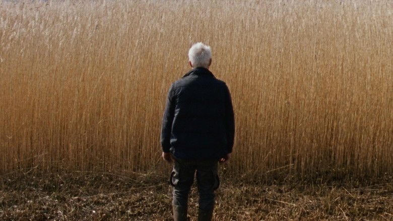 кадр из фильма Rietland