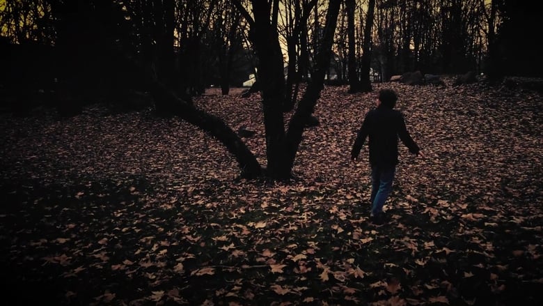 кадр из фильма Woods