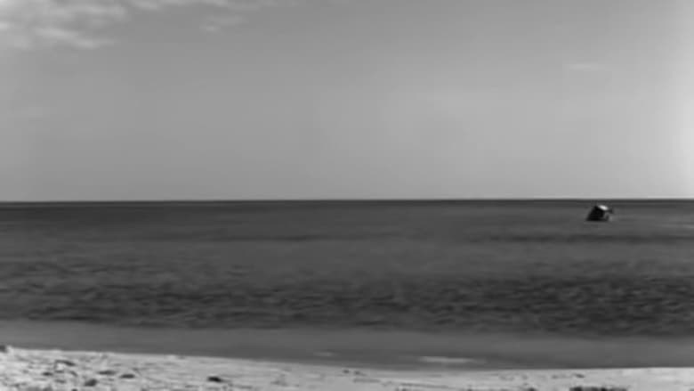 кадр из фильма Dwaj ludzie z szafą