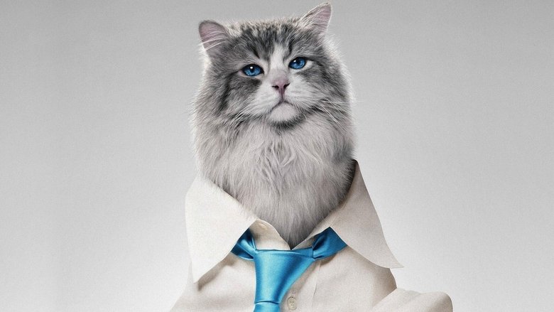 кадр из фильма Девять жизней