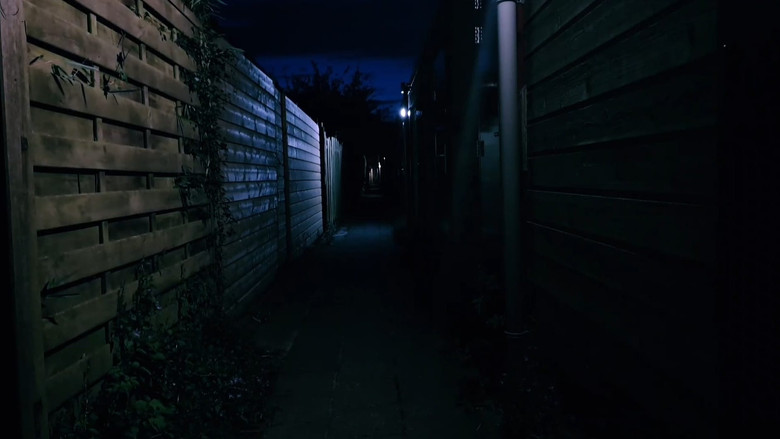 кадр из фильма shadows scare me