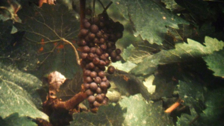 кадр из фильма The Stoas