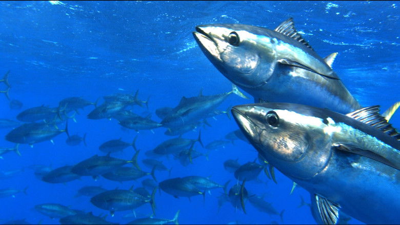 кадр из фильма 슈퍼피쉬 - 끝없는 여정