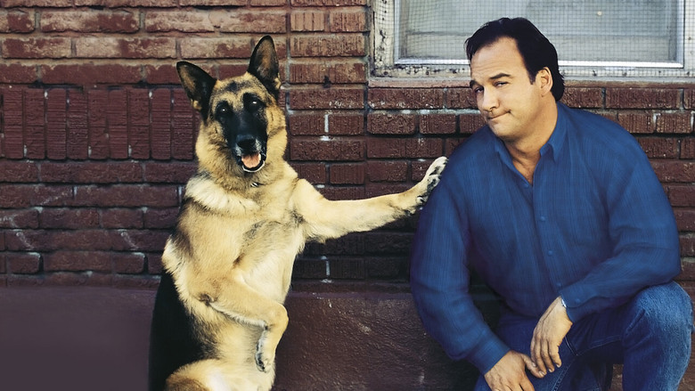 кадр из фильма К-911