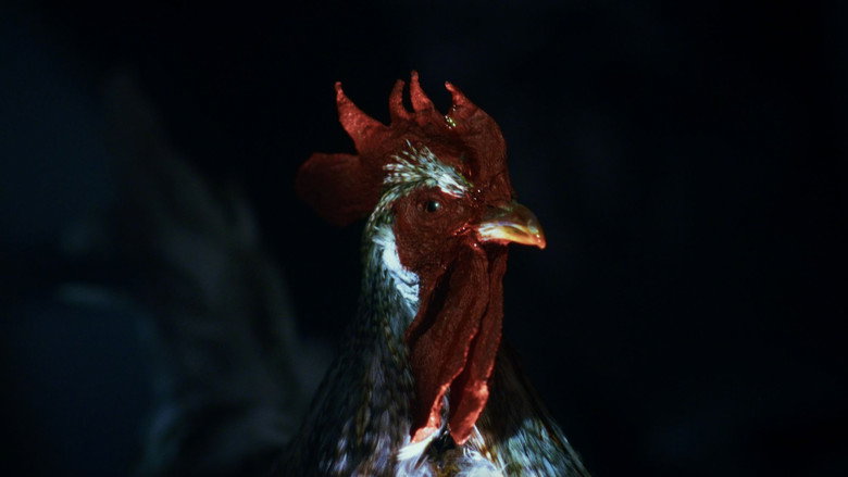 кадр из фильма Rooster Road