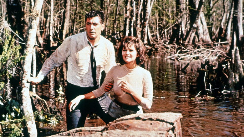 кадр из фильма С завязанными глазами