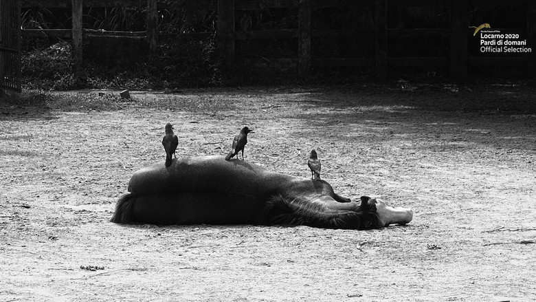 кадр из фильма একটি একঘেয়ে ফিল্ম