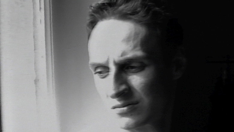 кадр из фильма Wild Boy