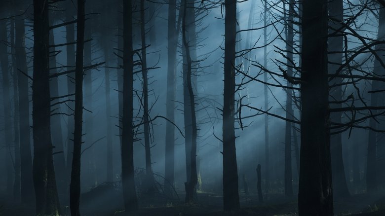 кадр из фильма Feral