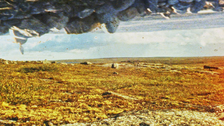 кадр из фильма Tuktuit: Caribou