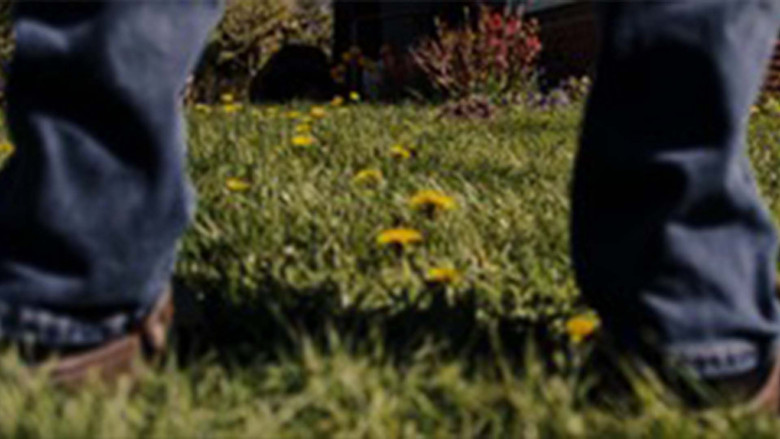 кадр из фильма Wale vs. Wildnis