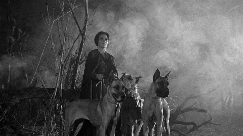 кадр из фильма La maldición de la Llorona