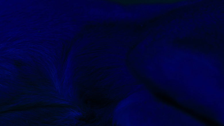 кадр из фильма Agora