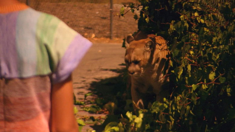 кадр из фильма Дикие тигры, которых я знал