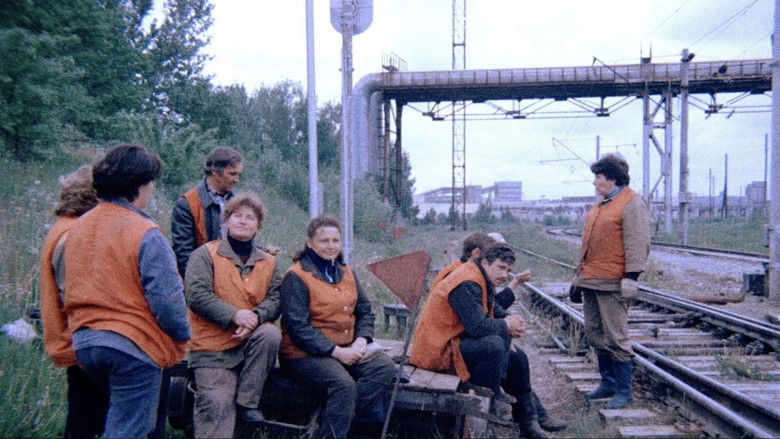 кадр из фильма Оранжевые жилеты