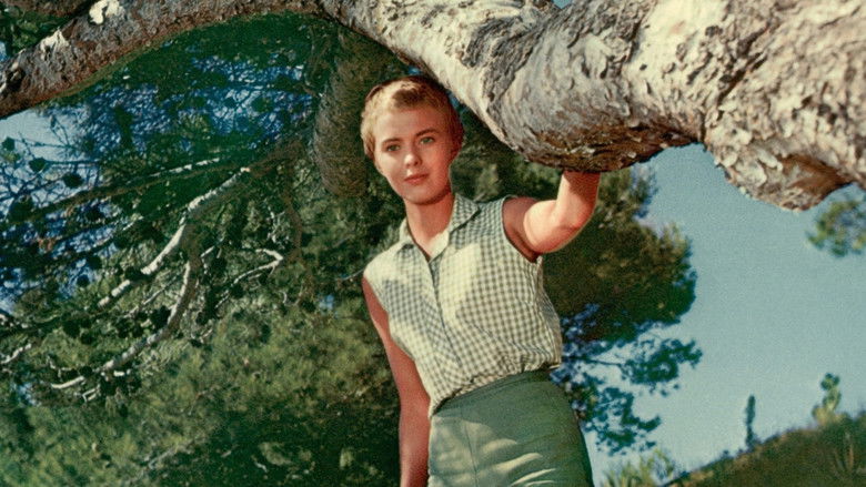 кадр из фильма Здравствуй, грусть