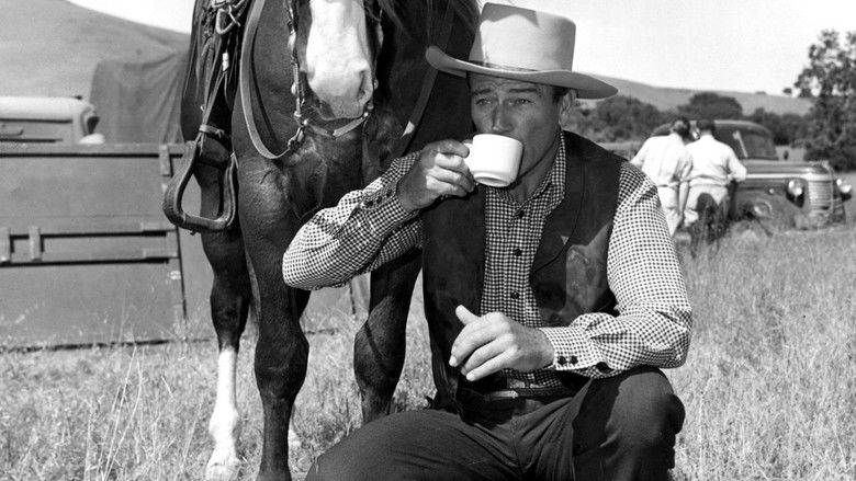 кадр из фильма В седле