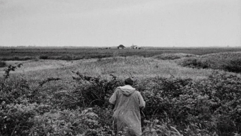 кадр из фильма Земляк