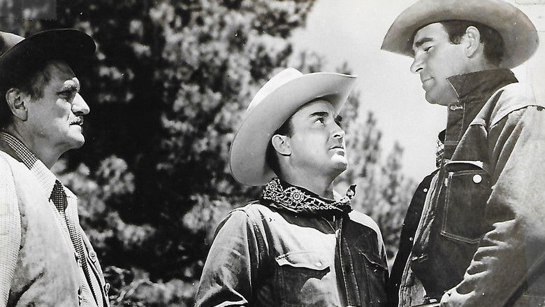 кадр из фильма Short Grass