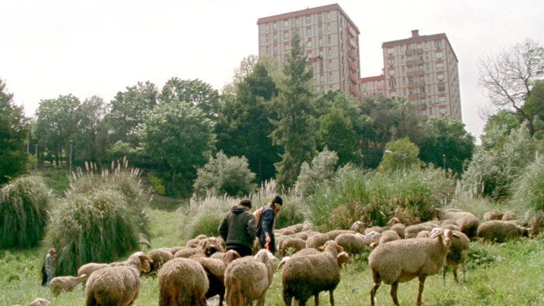 кадр из фильма As Mil e Uma Noites: Volume 2, O Desolado