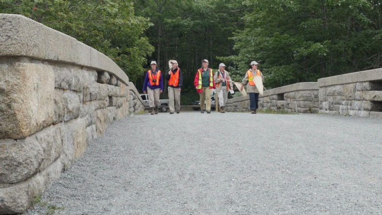 кадр из фильма Second Century Stewardship: Acadia National Park