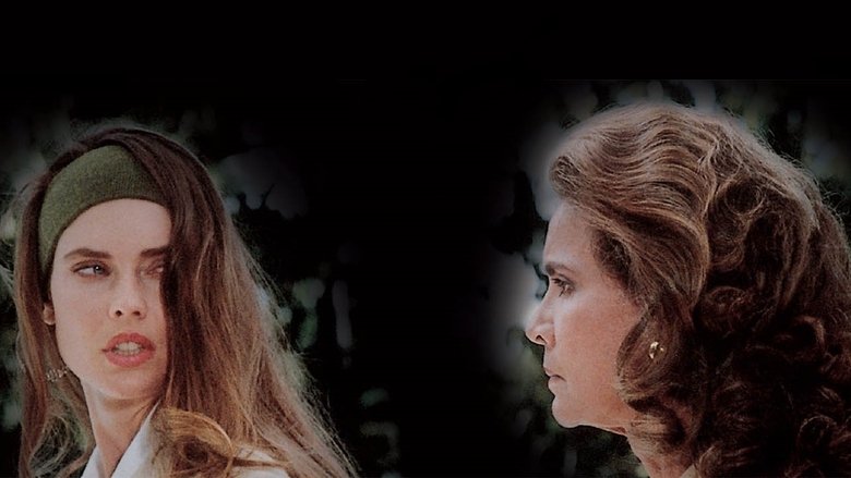 кадр из фильма Миллионы