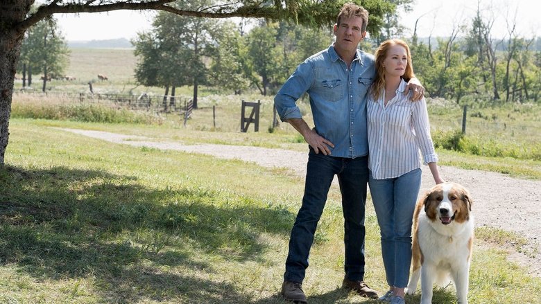 кадр из фильма Собачья жизнь 2