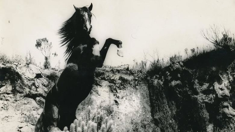 кадр из фильма O Corpo Ardente