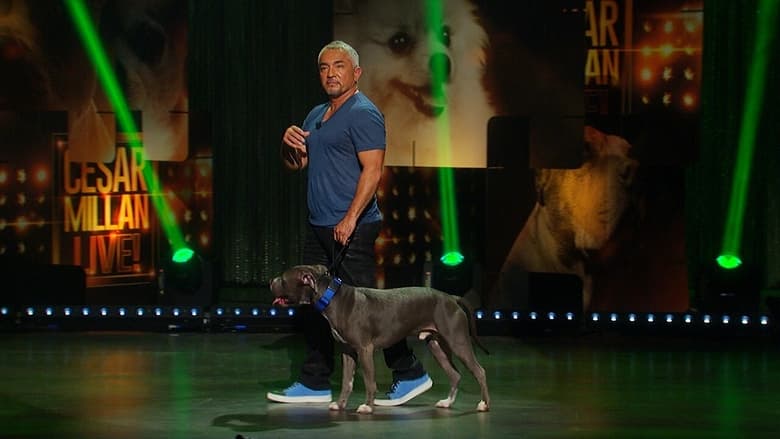 кадр из фильма Cesar Millan: Viva Las Vegas!