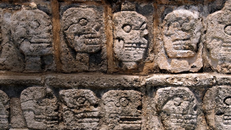 кадр из фильма Зарытая правда майя