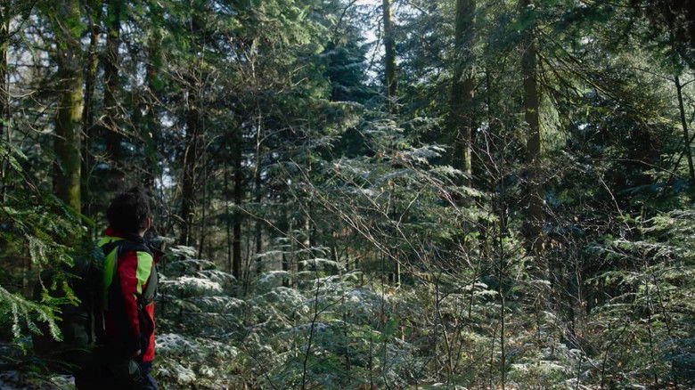 кадр из фильма Inestimables forêts